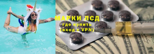 стаф Баксан