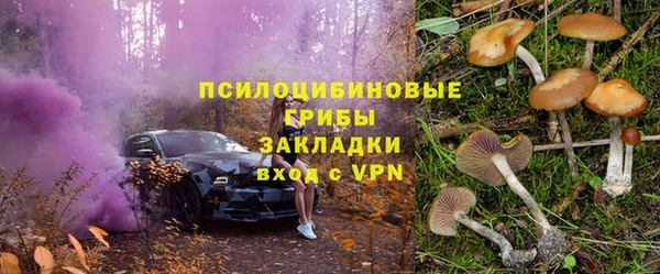 стаф Баксан