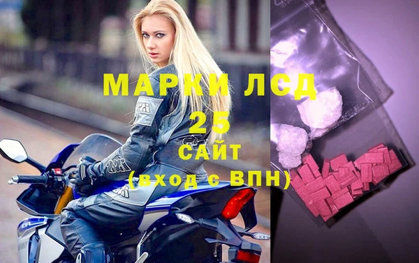 стаф Баксан