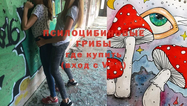 стаф Баксан