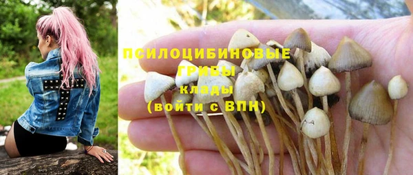 стаф Баксан
