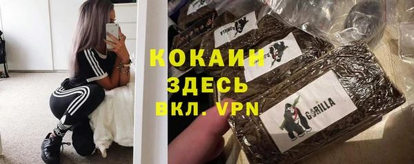 стаф Баксан