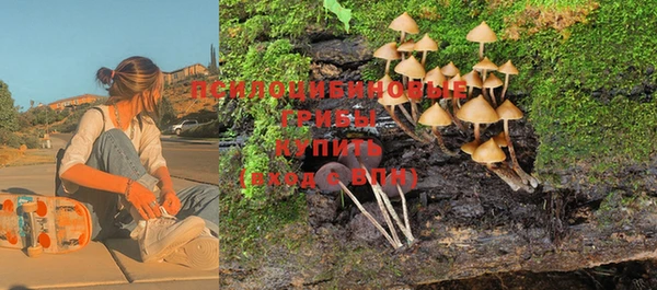 стаф Баксан