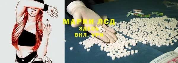 стаф Баксан