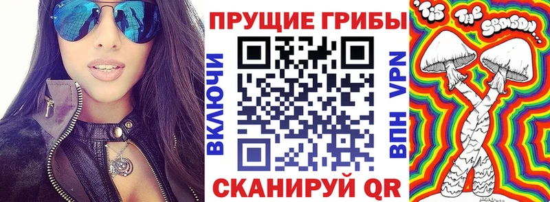 Галлюциногенные грибы прущие грибы  Болхов 